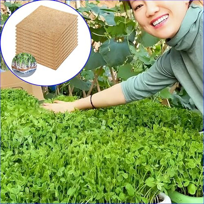 10 Pack Jute Grow Mat for Microgreens, 12" X 12" Hydroponic Grow Pads for Growing Tray Sprouting Trays Jute Fiber Seed Starter Planting for Wheatgrass Sprouts Starter Tray，Micro Greens & Wheatgrass - size: Medium