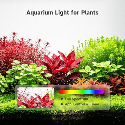 M1 5 Gallon Aquarium Starter Kit, App Control Smart Fish Tank with Filter, Auto Feeder, Quiet Pump, Timer Light, Temp Display, Crystal-Clear Glass Desktop Betta Tank for Guppy Shrimp, White