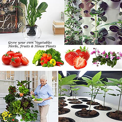 3 inch Net Pots for Hydroponics, 50 Pack Net Cups with Self Watering Rope & Plant Labels, Nursery Pots for Kratky Aquarium Plant, Hydroponic Baskets Garden Vegetables Growing