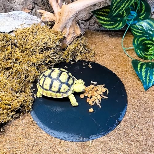 Reptile Basking Platform,7.8IN Tortoise Rock Slate Plate Feeding Food Bowl Dish Turtle Bathing Resting Terrace for Lizard Bearded Dragon Chameleon Gecko Snake Frog Newt - size: 7.8inch(1pcs)