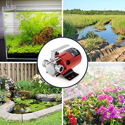 Utility Pump, Prostormer 1/10HP 120V Mini Portable Electric Water Transfer Pump 330GPH Plumbing Equipment with Water Hose Kit Great for Yard, Garden, Pool Draining