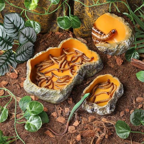 IBWell 5 Inch Reptile Food Dish Escape Proof Reptile Feeding Dish Resin Reptile Water Food Bowl for Bearded Dragon Chameleon Frog Snake Turtle Leopard Gecko