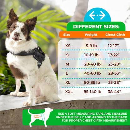Joyride Dog Harness 2.0 | No-Pull | Pink 2.0 | L | Reflective no-choke quick-fit vest with 3 leash clips and escape-resistant design for easier walks and training - color: Pink 2.0, size: L