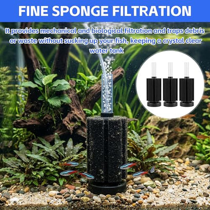 3 Pack Bio Sponge Filter for Aquarium – Up to 20 Gallons, Ideal for Betta, Fry, Shrimp & Small Fish