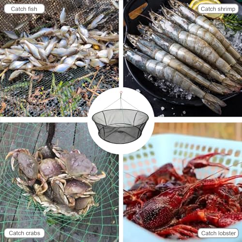 Portable Folded Fishing Net, Crab Net Fish Net with Fishing Rope, Hand Casting Cage Crab Net, Foldable Fishing Mesh Trap for,Minnows,Lobster,Crawfish, Shrimp etc. - size: 31.5 inches (80 cm)