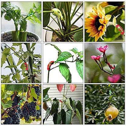 150 Pcs Low Stress Training Clips, 90 Degree Plant Clips Branches Clips Control The Growth of Plants Branches Clamps for Low Stress Planting Clip Climbing Plants Garden Plant Grow Tools