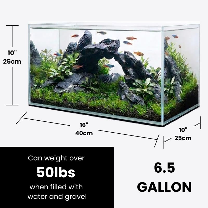 Glass Aquarium 6.5 Gallon - Rectangular Desktop Fish Tank - 5mm Thick High-Clarity Glass with Protective Bottom Mat - Ideal for Betta, Shrimp, and Small Tropical Fish