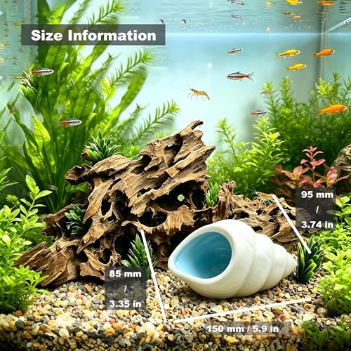 Ceramic Conch Betta Tank Decor,Beach-Themed Aquarium Hideout | For Bettas, Axolotls, Shrimp & Hamsters,Easy to Clean,Fits Small/Medium Tanks/Cages,or Decorative desktop jewelry organizer