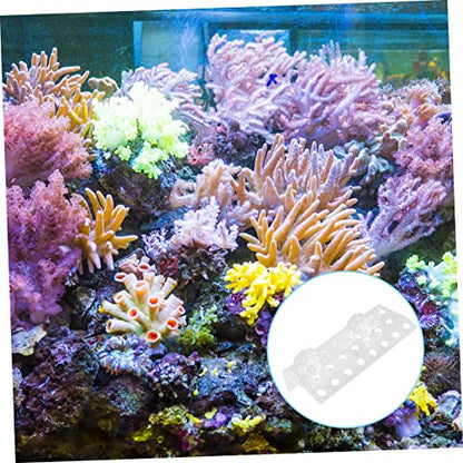 BESPORTBLE Frag Rack Support Holder for Aquarium Acrylic Bracket Fish Tank Decorations