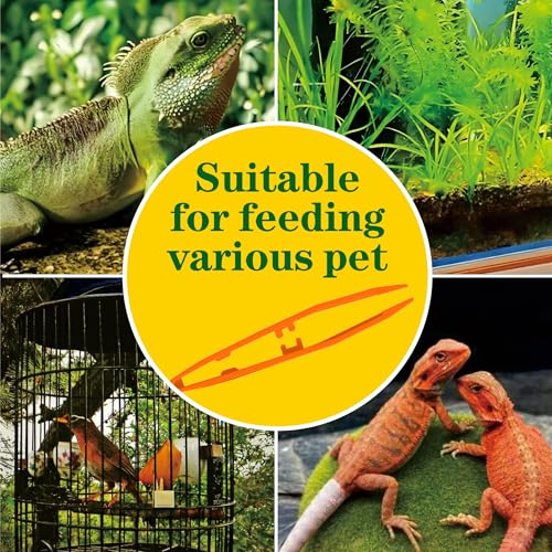 5-Pack Reptile Feeding Tongs Set - Hygienic Anti-Slip Orange Tweezers for Bearded Dragons, Lizards, Snakes, Aquariums & Small Animals(Five Colors to Choose from)