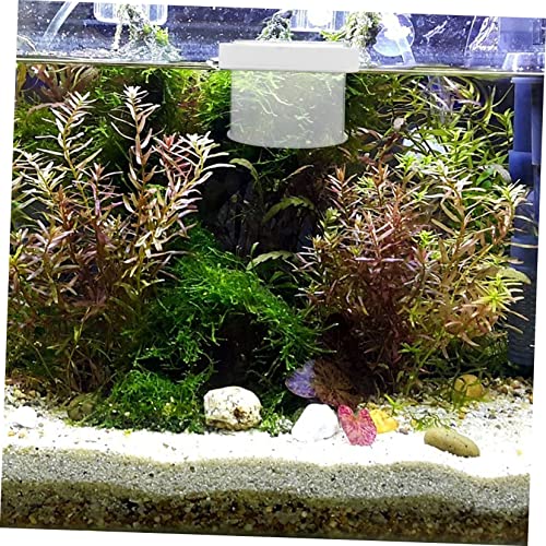 Toddmomy Acrylic Floating Fish Tank Breeding Box with Water Permeable Bottom Transparent Aquarium Isolation Container for Small Fish Fry Supplies