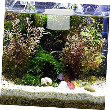 Healifty Floating Acrylic Fish Breeding Box with Removable Cover and Water Permeable Bottom Fish Separator for Aquarium Hatchery Suitable for Fry Incubation