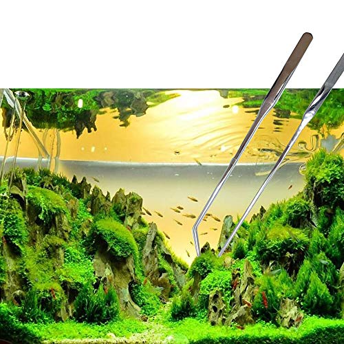 2PCS Aquarium Tweezers Stainless Steel Straight and Curved Tweezers Set Long Handle Reptile Feeding Tongs for Aquatic Plants Lizards Spider Snakes Garden Repairing - 10.6inch, Silver