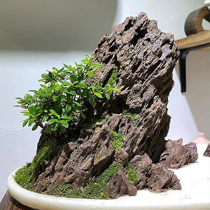 Natural Stone 20lb Aquarium Rocks for Aquarium Landscaping Models and PH Neutral Rocks Aquascaping Stones for Terrariums-2-8 inches