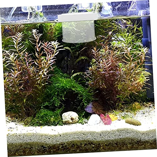 BESPORTBLE Floating Acrylic Fish Tank Breeding Box with Lid Transparent Aquarium Isolation Container for Small Fish Fry Water Permeable Incubator Holder