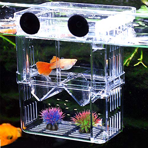 Aquarium Fish Breeding Box, Acrylic Double Layer Fishes Isolation Box/Baby Fishs Hatchery/Fry Breeder Box for Guppy,Tropical Fishes, Floating Fish Incubator Tank Divider with Suction Cups, L size
