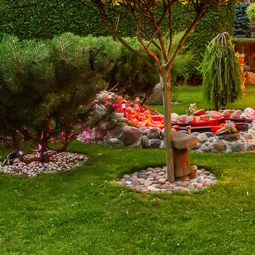 5lbs River Rocks for Landscaping, 2"-3" Decorative Garden Stones for Plants, Flower Pots, Vase, Walkways, Yard, Natural Rocks for Aquarium, Fish Tank - size: 2-3 Inch