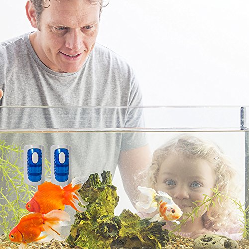 DaToo Aquarium Cleaner Fish Tank Glass Cleaner Algae Scraper Magnetic Scrubber Algae Clean Brush, 2 Pcs, 1 Yr Warranty - color: S (2pcs)
