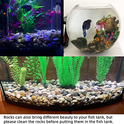 Pebbles for Plants 3 lb Natural Garden Decorative Stone Outdoor Aquariums Gravel 1-1.5 Inches - size: 3LB, style: Colour