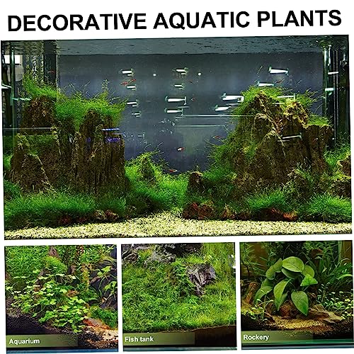 Garneck 1set Fish Tank Divider Cups Isolation Mesh for Breeding Transparent Aquatic Divider for Fish Tank Separation for Aggressive - color: Transparent