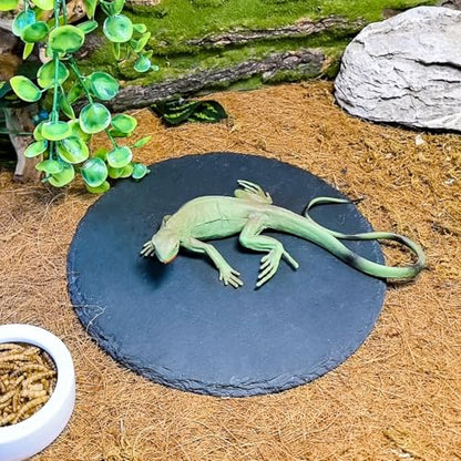 Reptile Basking Platform,7.8IN Tortoise Rock Slate Plate Feeding Food Bowl Dish Turtle Bathing Resting Terrace for Lizard Bearded Dragon Chameleon Gecko Snake Frog Newt - size: 7.8inch(1pcs)