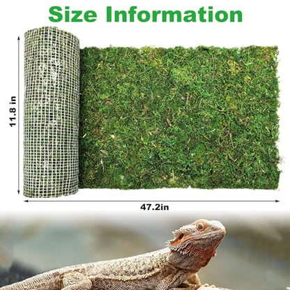 Reptile Carpet, Natural Moss Mat for Terrarium, Bearded Dragon Tank Flooring Green Substrate Liner for Leopard Gecko Hermit Crab Lizard Tortoise (47.24" X 11.81")