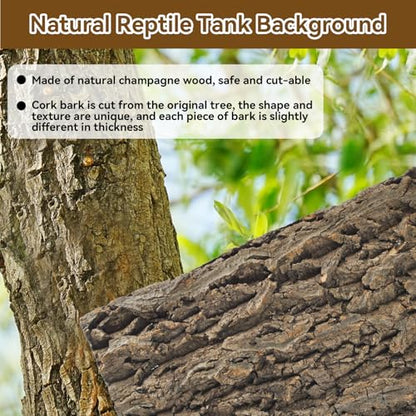 4PCS Reptile Tank Background,11.81 x 11.81 Inch Terrarium Cork Bark Background Bearded Dragon Tank Backdrop Natural Reptile Cork Bark Mat for Lizard Gecko Chameleon Tortoise Snake Spider Frog - size: 【11.81 x 11.81 In】