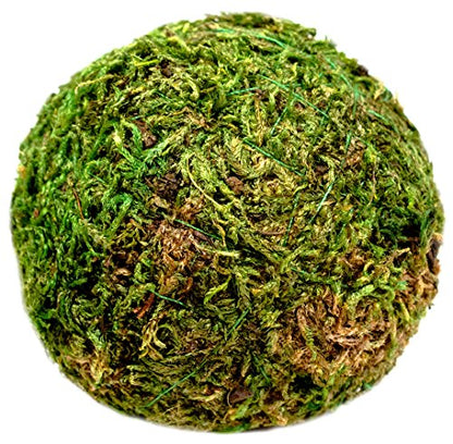 SuperMoss (25440) Moss Ball, Fresh Green, 2" Pack of 4 - color: Fresh Green, size: 2"