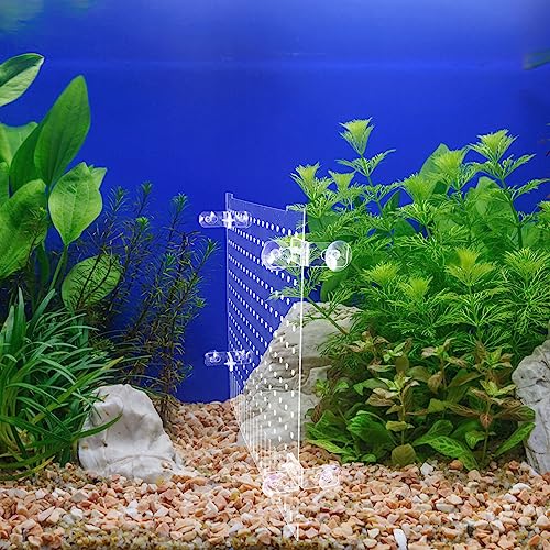 Ipetboom 1set Acrylic Fish Tank Divider Board Transparent Isolation Panel with Cups for Compartmentalization for Aquariums and Pet Fish
