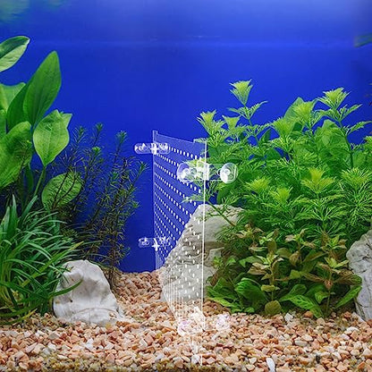 Ipetboom 1set Acrylic Fish Tank Divider Board Transparent Isolation Panel with Cups for Compartmentalization for Aquariums and Pet Fish
