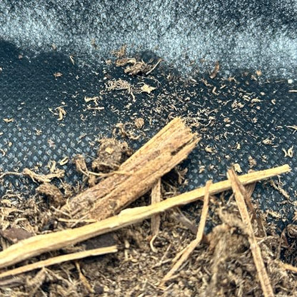 Reptile Substrate Liner for Terrarium, 24"x18" Substrate Guard Mesh