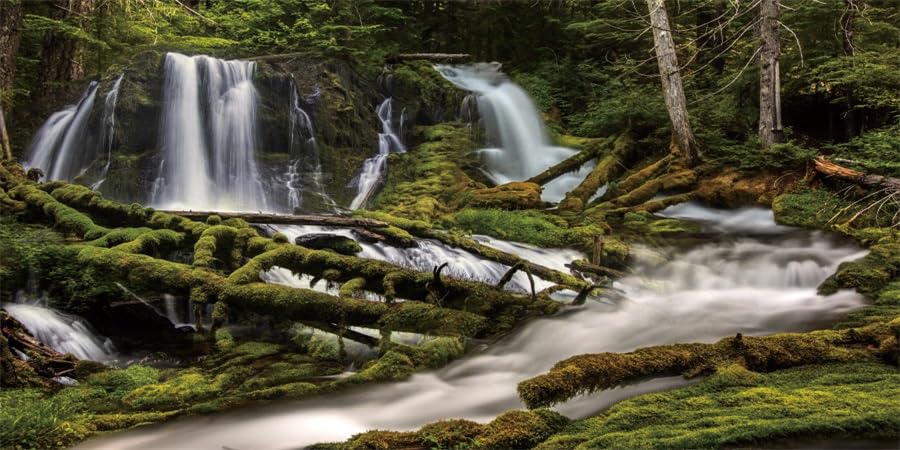 YongFoto Fish Tank Background 24x12 inch Forest Lakes Rivers Mountains Nature Scenery Polyester Backdrop Reptile Habitat Terrarium Aquarium Background - color: Green-4, size: 24x12in/60x30cm