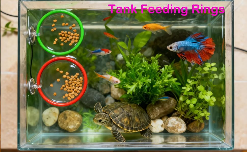 8 pcs Betta Fish Enrichment Toys Fish Exercise Rings Floating Betta Hide Shrimp Cave Tank Hammock Feeder Mirror Resting Spot for Small Fish Training Feeding Rings