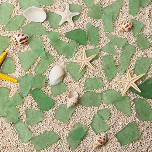 Sea Glass for Crafts - Decorative Frosted Seaglass Pieces - 16oz - Vase Filler, DIY Art Craft Supplies - Beach Wedding, Home Decor, Aquarium Decor (Green)