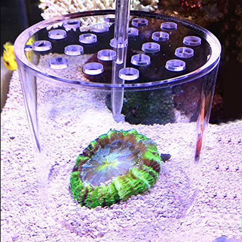 Acrylic Transparent Feeder Cover, Aquarium Feeding to Prevent Fish and Shrimp from Stealing Food, with Center Hole for Feeding Tube, for Reproduction and Safe Feeding in Fish (80mm) - size: 80mm