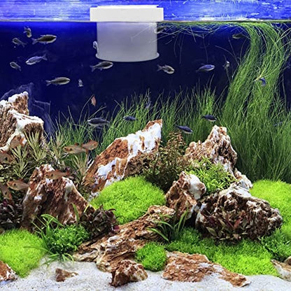 Floating Fish Box Acrylic Aquarium Fish Breeding Box Guppies Hatching Incubator for Hatchery 10X10X8CM
