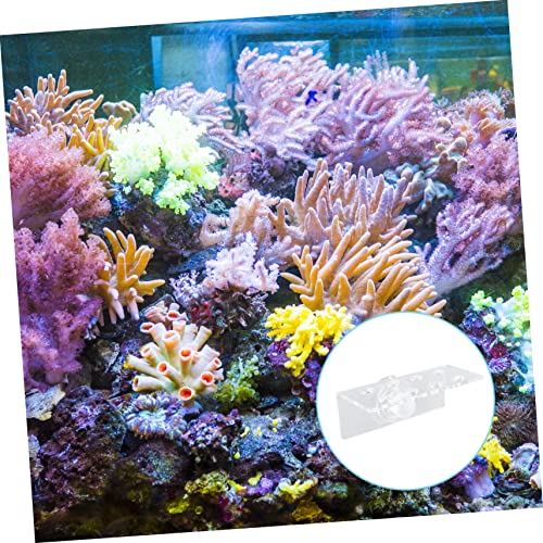 Angoily 8holes Acrylic Coral Rack for Aquariums Safe Coral Base Strong Cups for Secure Support and Optimal Light Exposure for Growth