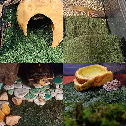 2 PCS Reptile Carpet Mat Terrarium Bedding Substrate Liner Mat Imitation Rainforest Crawler Mats for Snakes Bearded Dragon Gecko Chameleon Turtles Iguana（23.62 X 15.74 in）