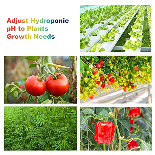 pH Up and Down Control Kit for Hydroponics, Soil Gardens & Aquariums - Concentrated Liquid pH Adjuster Set (9 oz + 9 oz) with pH Indicator - Balanced Nutrient Solution for Plants