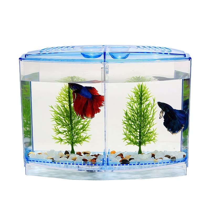 Fish Bowl Vase Fish Tank Aquarium Box Transparent Fish Raising Box Double-Capsule Hatching Double-Layer Incubator Office Aquarium Small Fish Tank Starter Kit