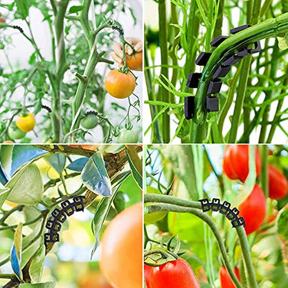 150 Pcs Low Stress Training Clips, 90 Degree Plant Clips Branches Clips Control The Growth of Plants Branches Clamps for Low Stress Planting Clip Climbing Plants Garden Plant Grow Tools
