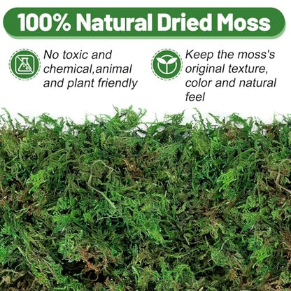 5oz Natural Green Moss for Plants Indoor - Dried Forest Real Moss for Crafts, Artificial Fairy Gardens, Mosswall, Glass Terrariums, Floral Design, Home Decor - style: 5oz