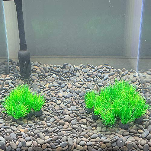 Aquarium Plant Fish Tank Decoration 20 Pieces Small/1" Tall Plastic Artificial Plant Goldfish Hidden Mini Grass Set (Green-C) - color: Green-c