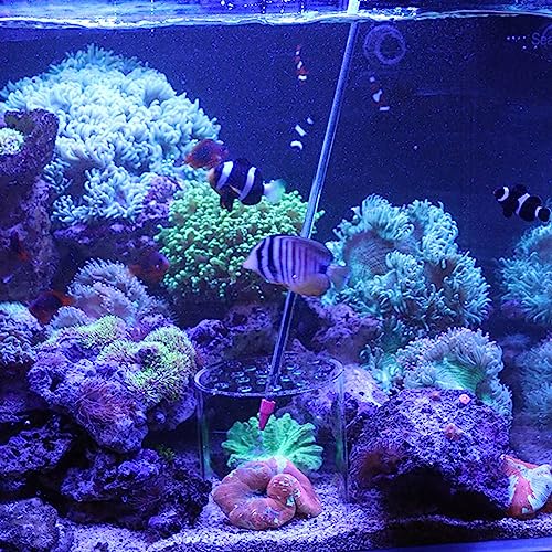 Acrylic Transparent Feeder Cover, Aquarium Feeding to Prevent Fish and Shrimp from Stealing Food, with Center Hole for Feeding Tube, for Reproduction and Safe Feeding in Fish (80mm) - size: 80mm