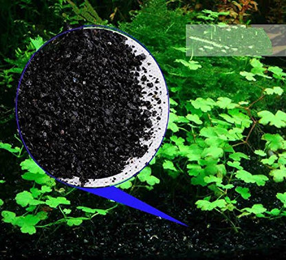 1 LB Gorgeous Aquarium Decoration - Aquarium Black Bottom Sand - Succulents Pavement