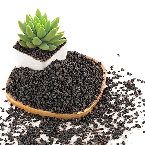 2.4LB Black Lava Rocks for Plants, Volcanic Rock Horticultural Lava Rock Soil for Landscaping Plants Drainage, Small Lava Rock Gravel for Succulents, Bonsai, Vase Fillers, Top Dressing - color: Black, size: 2.4lb