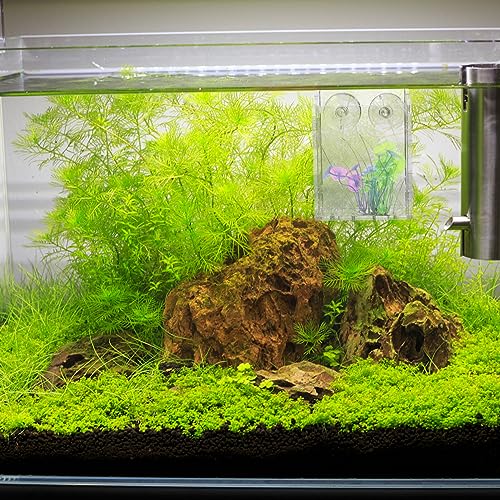 Ipetboom Acrylic Fish Tank Planter Small Vertical Plant Holder for Aquarium Decorative Water Plant Cup