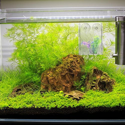 Ipetboom Acrylic Fish Tank Planter Small Vertical Plant Holder for Aquarium Decorative Water Plant Cup