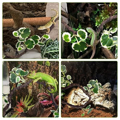 Flexible Bend-A-Branch Climbing Reptile Jungle Vines Snake Climbing Branch for Terrarium Plants Crested Gecko Tank Accessories for Leopard Gecko Lizard Chameleon Frog (Green)