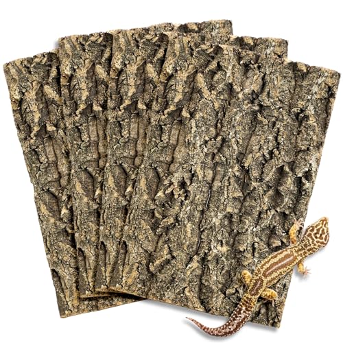 Fhiny 4 PCS Cork Bark Background, 11.6" x 7.7" Natural Cork Bark for Reptiles Bearded Dragon Climbing Backdrop Terrarium Habitat Wall Decor Accessories for Turtle Gecko Lizard Snake Spider Frog